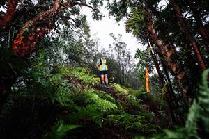 BIB: 
                            <button type="button" onclick="openModal(26205524)" class="btn btn-primary btn-sm float-right btn-popup" data-toggle="modal" data-target=".modal-high-quality">
                        <i class="fas fa-shopping-cart"></i> Add to Cart
                    </button>
                                            <button type="button" onclick="isThisMe(26205524, true)" class="btn btn-success btn-sm float-right btn-popup btn-isme hidden" data-toggle="tooltip" data-placement="bottom" title="นี่คือรูปของคุณใช่ไหม คลิกที่นี่เพื่อเอาเข้าอัลบั้ม">
                        <i class="fas fa-plus"></i> Add to album
                    </button>
                    <button type="button" onclick="isThisMe(26205524, false)" class="btn btn-warning btn-sm float-right btn-popup btn-isnotme hidden">
                        <i class="fas fa-ban"></i> Remove from album
                    </button>